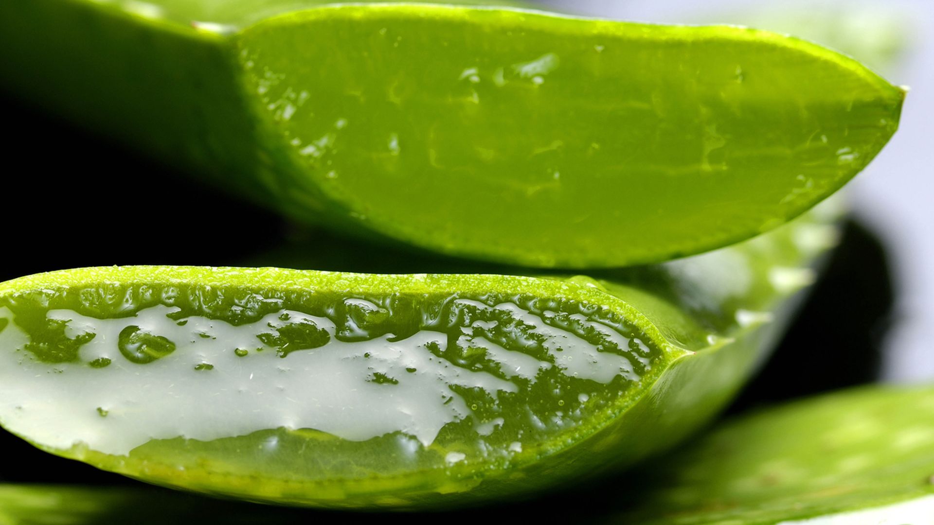 treat acne with aloe vera