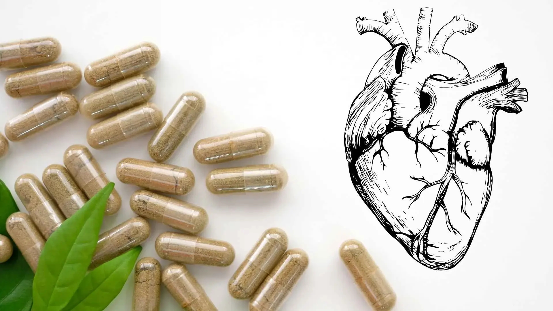 Natural Heart Support Supplements